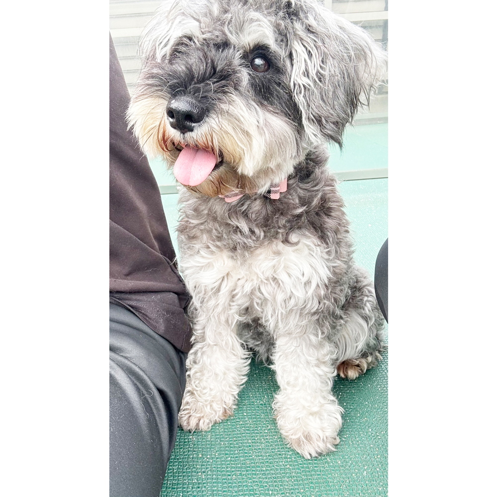 生徒が撮影した写真を送ってくれました！①